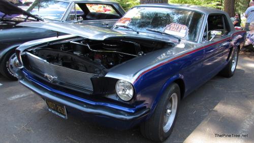 ArnoldCarShow24 (67)