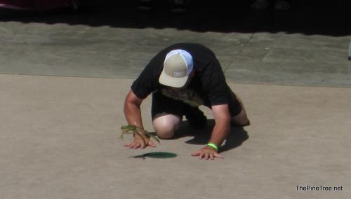 FrogJump26 (11)