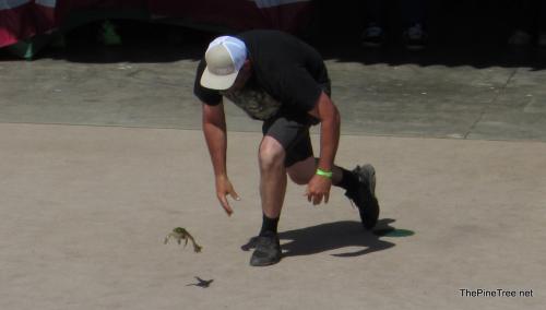 FrogJump26 (12)