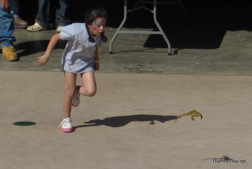 FrogJump26 (120)