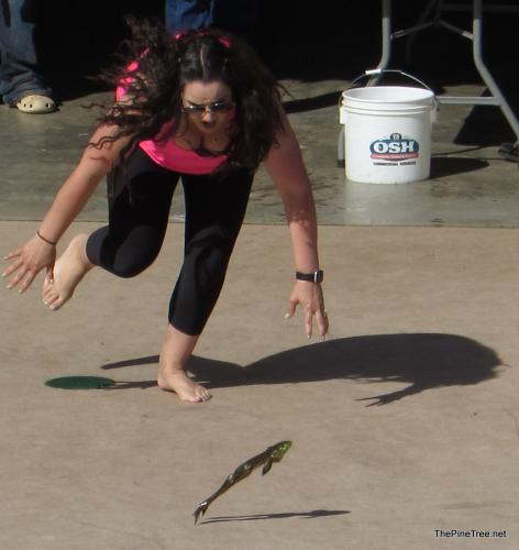 FrogJump26 (155)