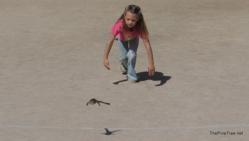 FrogJump26 (17)