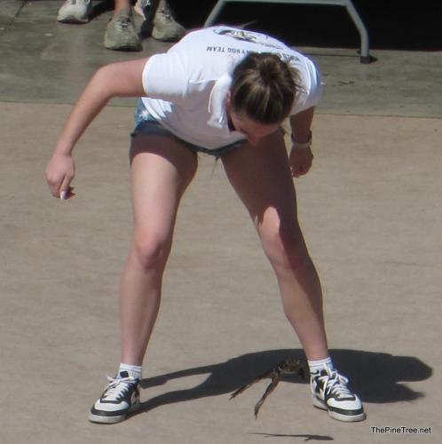 FrogJump26 (22)