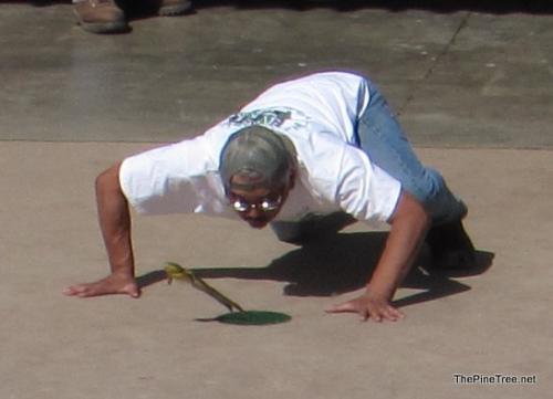 FrogJump26 (45)