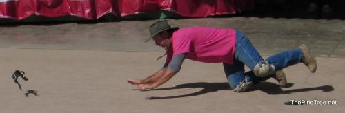 FrogJump26 (67)