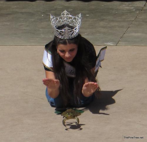 FrogJump26 (7)