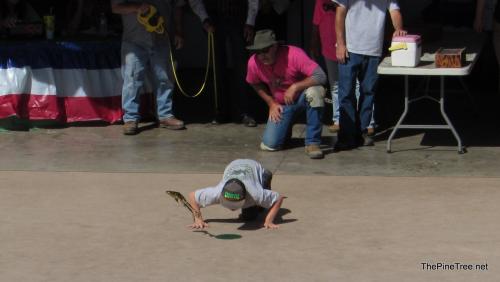 FrogJump26 (70)