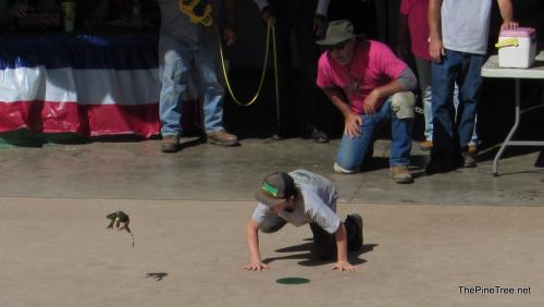 FrogJump26 (71)