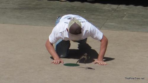 FrogJump26 (8)
