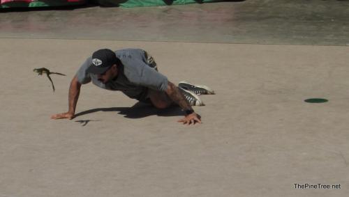 FrogJump26 (99)