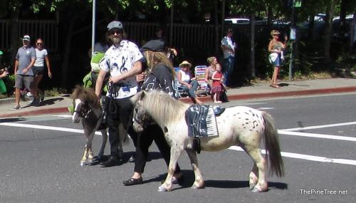 FrogJumpParade26 (83)