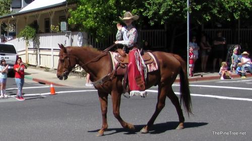 FrogJumpParade26 (87)