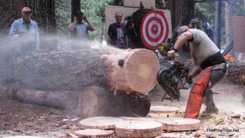 LoggingJamboree23 (149)