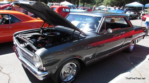 MooseCarShow23 (18)