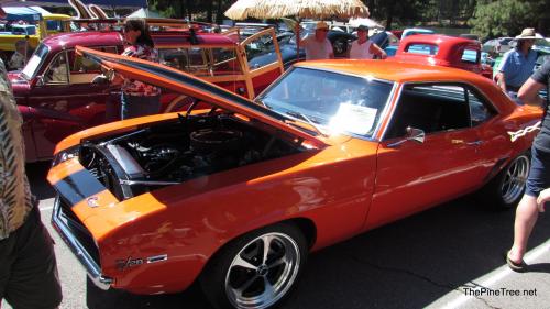 MooseCarShow23 (19)