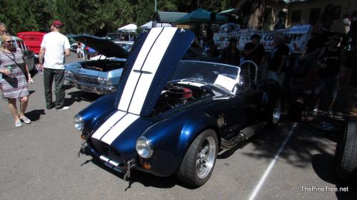 MooseCarShow23 (4)